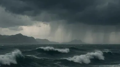 اخبار-اليمن-الان-|-عواصف-رعدية-تضرب-المرتفعات-والسواحل-اليمنية-وتحذيرات-من-السيول