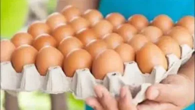 اخبار-اليمن-الان-|-”صدمة-في-أسواق-عدن!-وزارة-الصناعة-تُعلن-سعرًا-جديدًا-للبيض…-والرقابة-تشتعل!-هل-سيُطبق-القرار-فعليًا؟”
