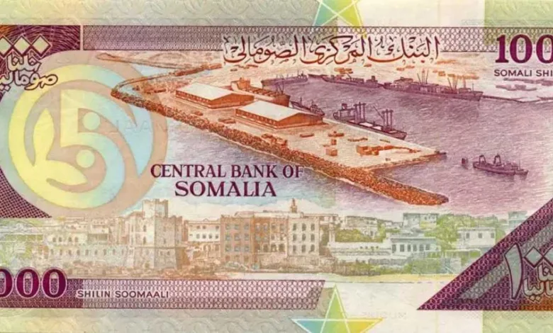 تحديث-يومي.-أسعار-الشلن-الصومالي-مقابل-الجنيه-المصري-بداية-تعاملات-اليوم-الجمعة-29-–-8-2025