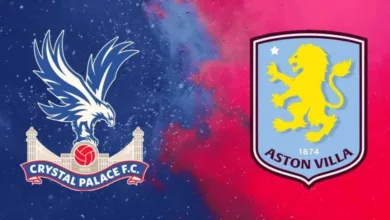 موعد-والقناة-الناقلة-لمواجهة-أستون-فيلا-ضد-كريستال-بالاس-في-الدوري-الإنجليزي-الممتاز