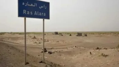 اخبار-اليمن-الان-|-طفلان-يعثران-على-جسم-غريب-وينقلانه-إلى-المنزل.-وعن-وصولهما-حدثت-الكارثة