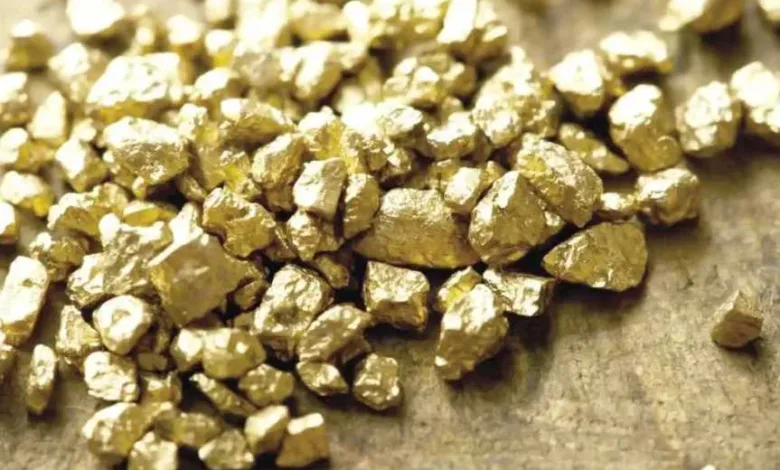 التنقيب-غير-القانوني-عن-الذهب-يسدد-ديون-بوليفيا-ويثير-جدلًا-واسعًا