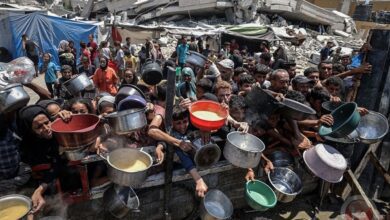 نصف مليون شخص بغزة على شفا المجاعة