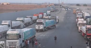 اللجنة المصرية فى غزة: مصر توزع اليوم 100 ألف سلة غذائية على سكان القطاع