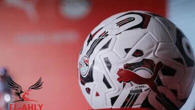 موعد مباريات الجولة الثالثة من بطولة الدوري المصري.. غياب الأهلي