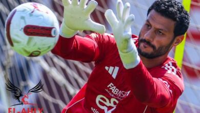 الشناوي يشارك في المران الجماعي للأهلي.. ويعلن جاهزيته لغزل المحلة