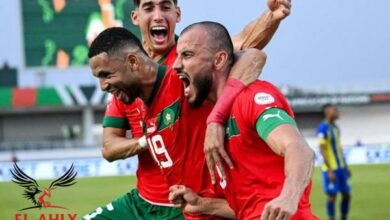 نجم الأهلي على رأس قائمة المغرب لمواجهتي النيجر وزامبيا