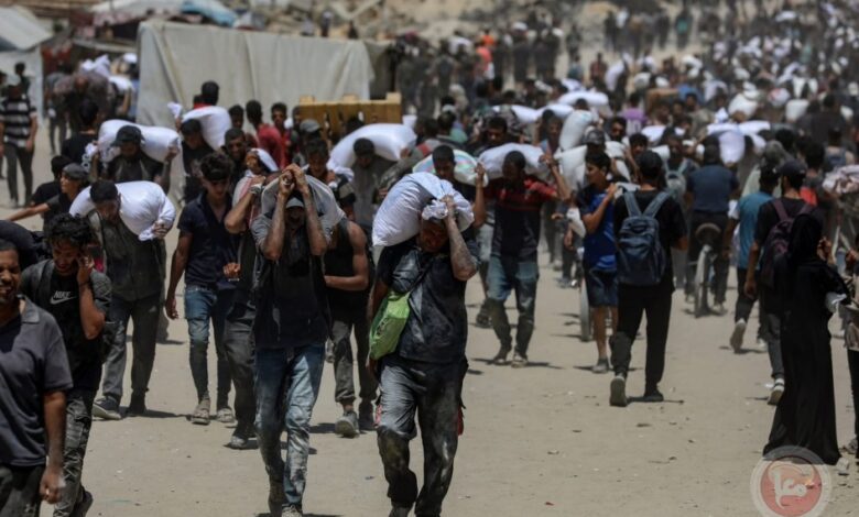 87 شهيدا في يوم واحد... وارتفاع مقلق لضحايا المجاعة