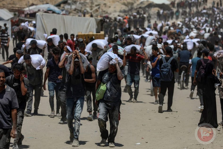 87 شهيدا في يوم واحد... وارتفاع مقلق لضحايا المجاعة