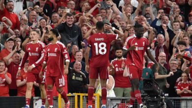 احتفال رونالدو يتسبب بإصابة قوية للاعب في البرازيل (فيديو)