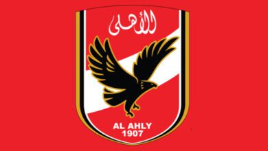 بتروجيت يكشف حقيقة طلب الأهلي التعاقد مع لاعب الفريق