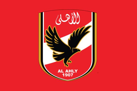 بتروجيت يكشف حقيقة طلب الأهلي التعاقد مع لاعب الفريق