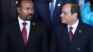 مسؤول مصري رفيع بشأن سد النهضة: النيل مسألة حياة ولن نتخلى عن حقنا المائي