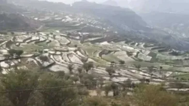 اخبار-اليمن-الان-|-الأرصاد-تتوقع-هطول-أمطار-على-16-محافظة-خلال-الساعات-القادمة