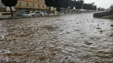 اخبار-اليمن-الان-|-”قطرات-من-رحمة.-صنعاء-تستفيق-على-نبض-المطر”