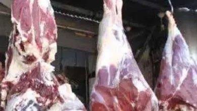 اخبار-اليمن-الان-|-ارتفاع-جنوني-في-أسعار-اللحوم-بعدن-رغم-تحسن-سعر-الصرف.-ومواطنون-يشكون-تلاعب-التجار-ويطالبون-بالرقابة