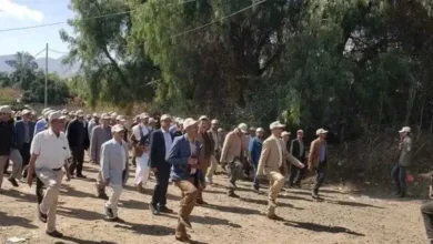 اخبار-اليمن-الان-|-أساتذة-صنعاء-وأطباءها-يزحفون-على-بطونهم.-دورات-قتال-تحت-تهديد-السلاح-الحوثي