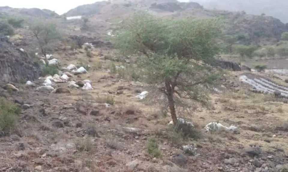 اخبار-اليمن-الان-|-وفاة-امرأتين-وطفل-بصواعق-رعدية.-والسيول-تجرف-100-رأس-من-الغنم-وعددًا-من-المنازل-وسط-اليمن