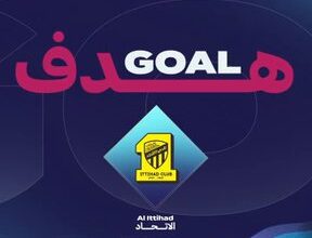 بيرجوين