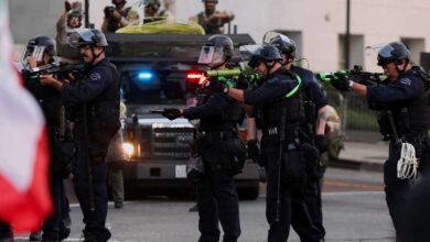 زيارة معتادة تنتهي بكارثة.. أسد يقطع يد امرأة في أستراليا (صور)