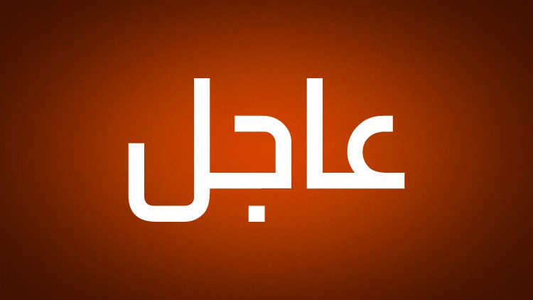 مصر والسودان يعلنان تفعيل اللجان المشتركة المتعلقة باتفاقية 1959