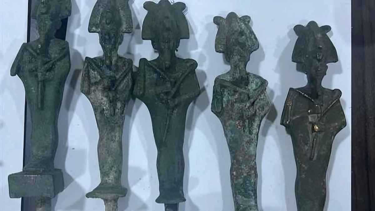 امرأة تواجه أخطر أفعى في العالم بشجاعة (فيديو)