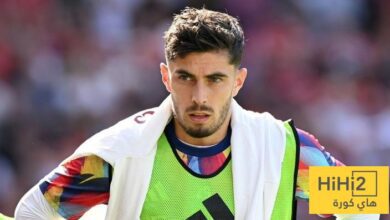 التشخيص المبدئي لإصابة هافرتز