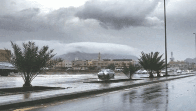 أمطار متوسطة رعدية على القنفذة