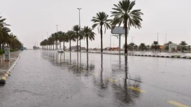 "الأرصاد": استمرار الأمطار على 5 مناطق حتى الثلاثاء