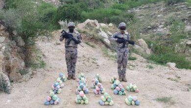 القبض على 4 مخالفين لتهريبهم 185 كجم حشيش في جازان