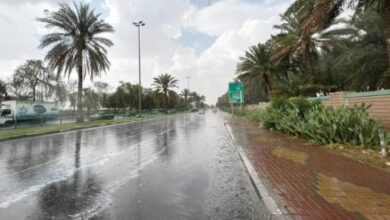 حتى الـ7 مساءً.. أمطار وأتربة مُثارة على جازان