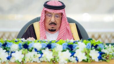 مجلس الوزراء يدين الانتهاكات الإسرائيلية في سوريا ويطالب بإنهاء المجاعة في غزة