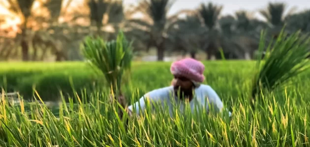 "معك دائمًا" تطبيق ذكي شامل من "البيئة" لدعم المزارعين وإرشادهم