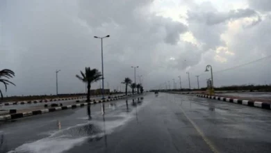 موجة حارة وأمطار ورياح نشطة على المنطقة الشرقية