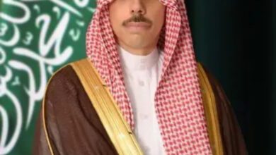 وزير الخارجية ونظيره التركي يبحثان المستجدات في غزة