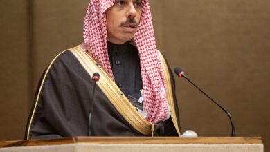 وزير الخارجية يبحث مع نظيره الأردني تطورات غزة