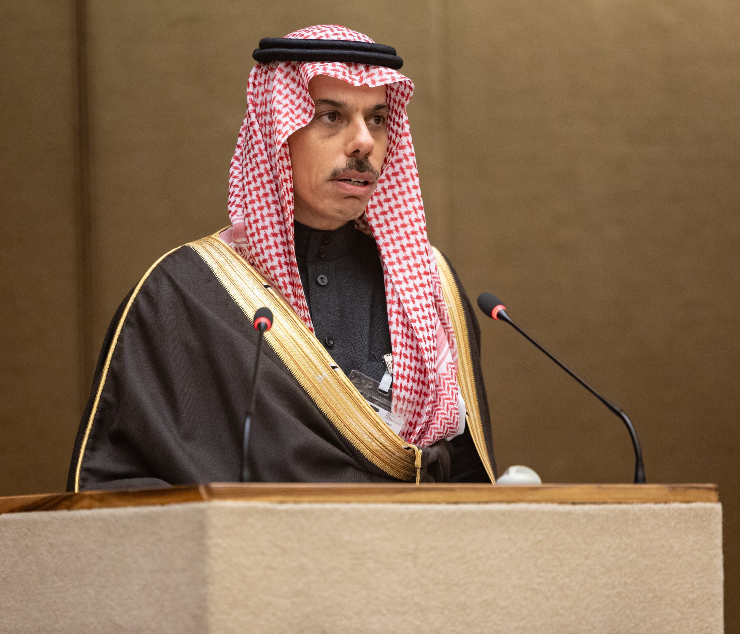 وزير الخارجية يبحث مع نظيره الأردني تطورات غزة