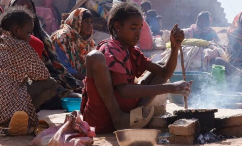 حرب السودان .. تسرق حق النساء والأمهات في الحياة