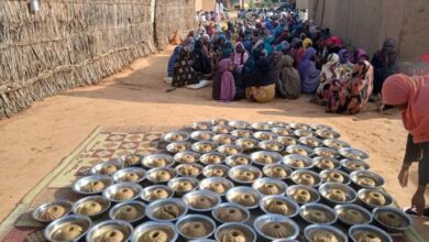 مجلس الأمن يرفض تشكيل الحكومة الموازية ويُطالب بإنهاء حصار «الفاشر»