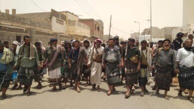 بمسند قبلي كبير .. آل حقيس يسندون لآل الميسري في عاصمة المحافظة زنجبار