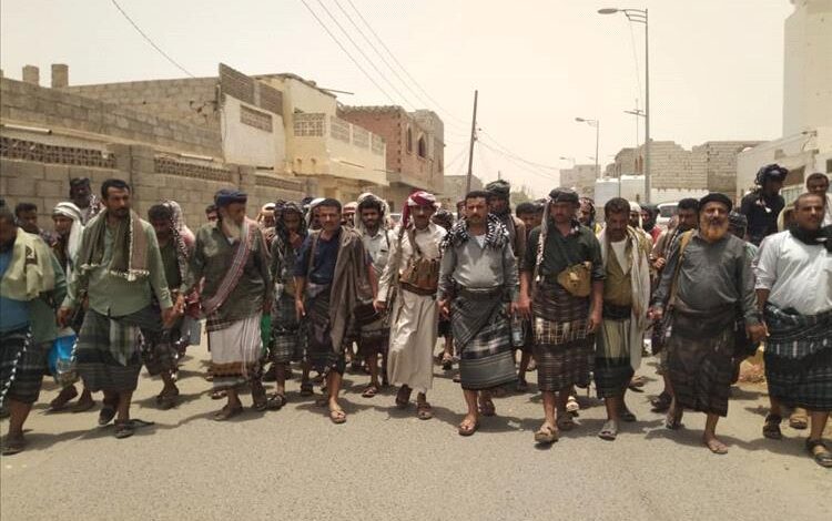 بمسند قبلي كبير .. آل حقيس يسندون لآل الميسري في عاصمة المحافظة زنجبار