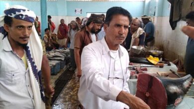 مدير المصائد بأبين يتفقد سوق زنجبار ويؤكد: وفرة الباغة ساهمت في كسر احتكار الأسعار