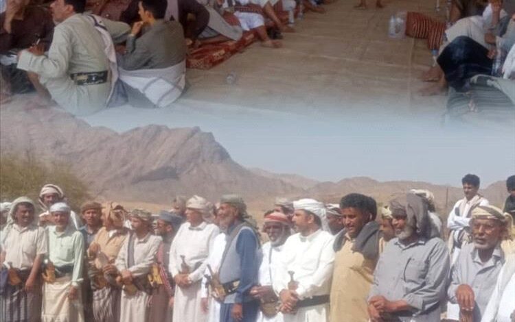 مساعي حثيثة بقيادة قائد الفرقة خامسة عمالقة لإنهاء قضية ثأر بين آل العطير وآل السقاف في حريب من 65عاما