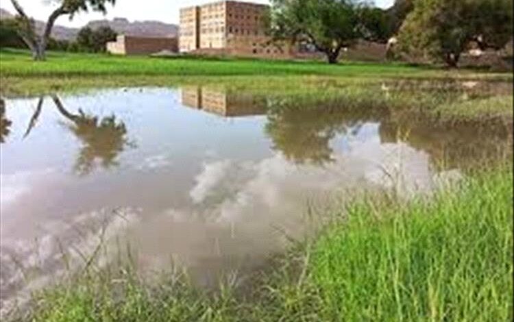 وفاة فتاتان غرقا في محافظة شبوة