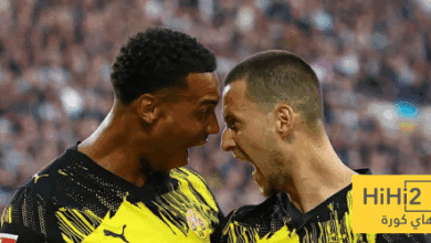 إحصائيات مباراة دورتموند وسانت باولي في الدوري الألماني