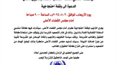 نادي القضاة الجنوبي يدعو لوقفة احتجاجية كبرى أمام مجلس القضاء الأعلى