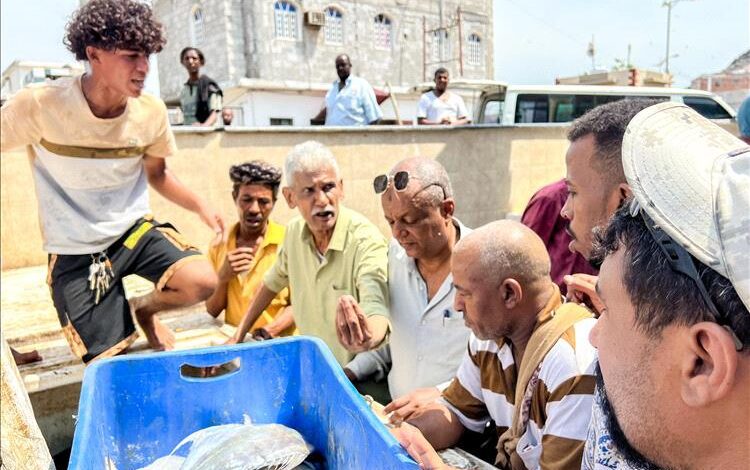 هيئة مصائد خليج عدن تضبط كمية من الأسماك المتعفنة وتتلفها في صيرة