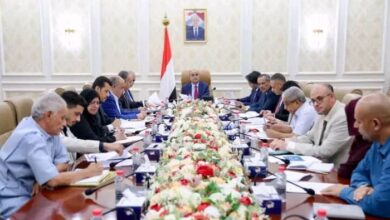 الحكومة توافق على إنشاء محطة بالطاقة النظيفة بالتعاون مع شركة ألمانية