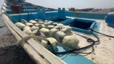 الحملة المشتركة تضبط 150 ألف حبة كبتاجون قبالة سواحل لحج