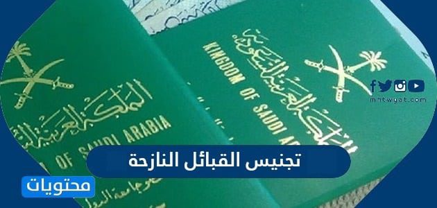 تجنيس القبائل النازحة 1447 - موقع محتويات